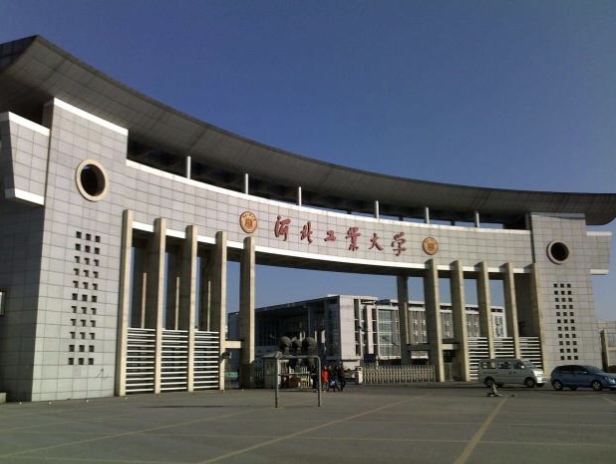 专家团队