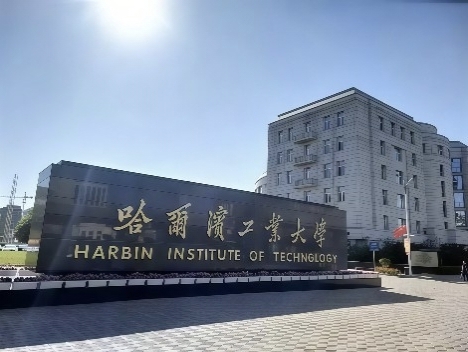 专家团队